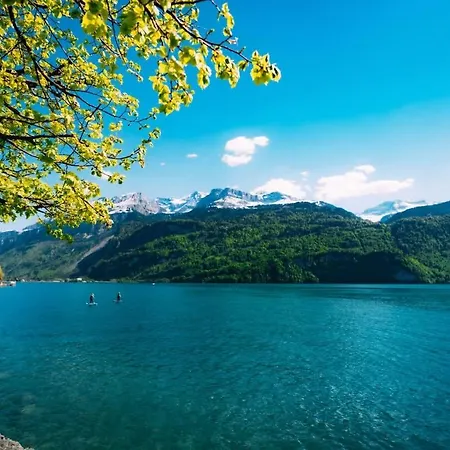 Alpina Three - Charming Prime Location Appartement Brienz (Bern)